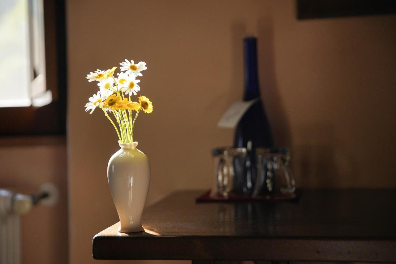 Locanda Del Viandante B&B 安吉亚里 外观 照片