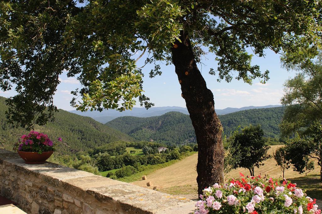 Locanda Del Viandante B&B 安吉亚里 外观 照片