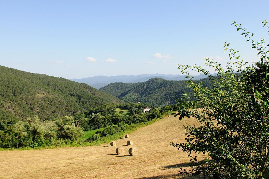Locanda Del Viandante B&B 安吉亚里 外观 照片